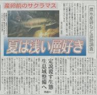 �k���{�V���T�N���}�X�L��