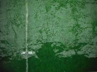 �����͐�