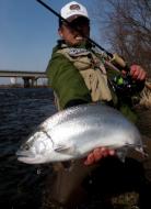 �T�N���}�X�ƒޖ�������܂�