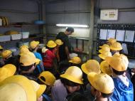 �T�N���}�X���R�Y���ώ@��