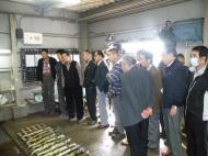 �Ђǂ�����