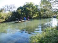 �����ŃA�����I��