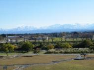 �����͉���