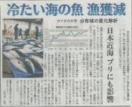 北日本新聞「冷たい海の魚　漁獲量減」