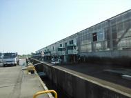 �������ǂ��V�C