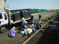 �������ǂ��V�C