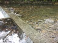 ���싛���̃T�N���}�X