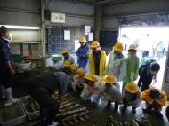 �T�N���}�X���R�Y���ώ@��@