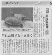 �����������ł���