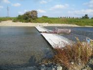 �F���̃T�P���i