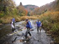 ������̃u���E��