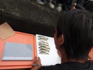 �����͗ǂ��V�C�ɂȂ�悤�ł�