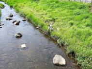 �[������J�̗\��