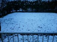 �����ϐ�