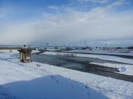 ���q��ݍH��