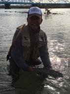 M���񂩂�̒މ�