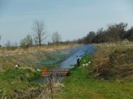 �����̓A��������