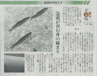 �ǔ��V���L��