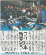 �u�V�t�u���v�x�R�V��