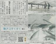 �k���{�V���u�t�A�����������v