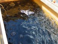 �A������