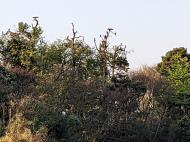 photo1