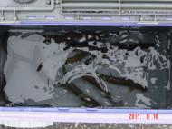 �k���{�V��