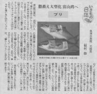 �ǔ��V���u�������̓����v