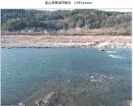 �����͉���