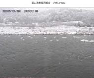 R�W�T�N���}�X�ƒނ��W�v��