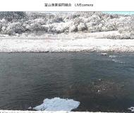 ���邩��{�ԁH