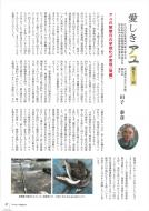 �������A��No�T�R