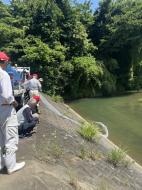 �A������