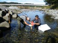 �T�N���}�X�Y��