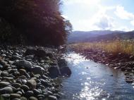 �T�N���}�X�Y��