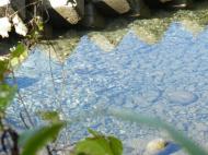 �T�N���}�X�Y��