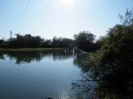 �O�����쏜