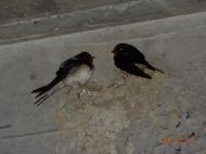 �z�~�c�o��