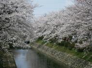 �f�[�^����